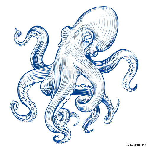 500x500 Vintage Octopus Hand Drawn Squid Engraved Ocean Animal Etching
