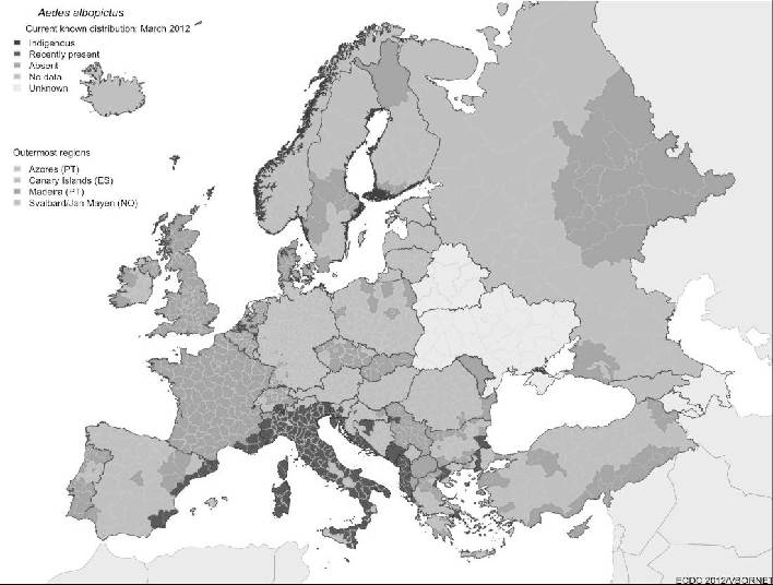 Distribution Of St Albopicta In Europe 708x536 Distribution Of St Albopicta In Europe