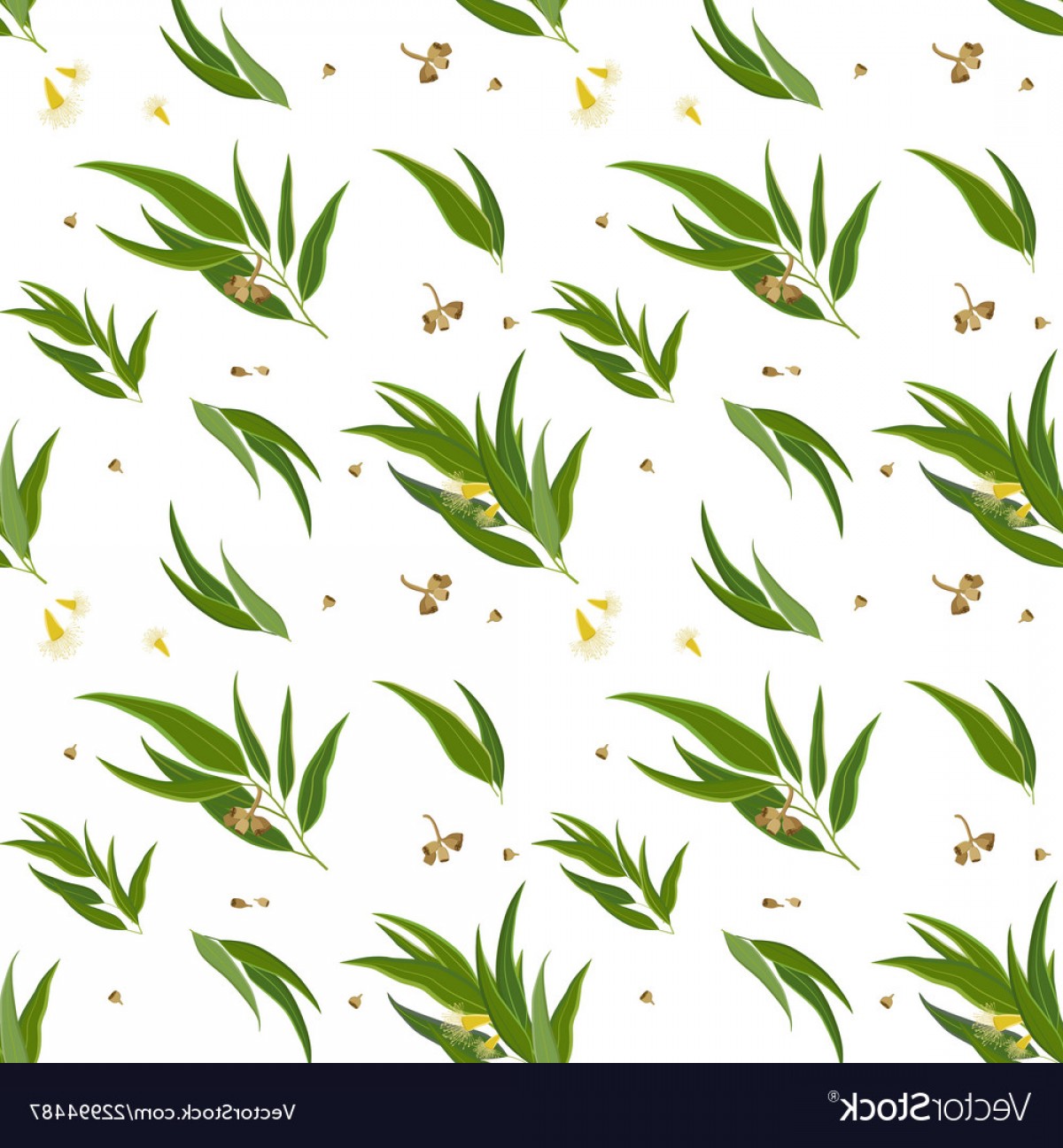 1200x1296 Eucalyptus Vines Clip Art Vector Lamaison