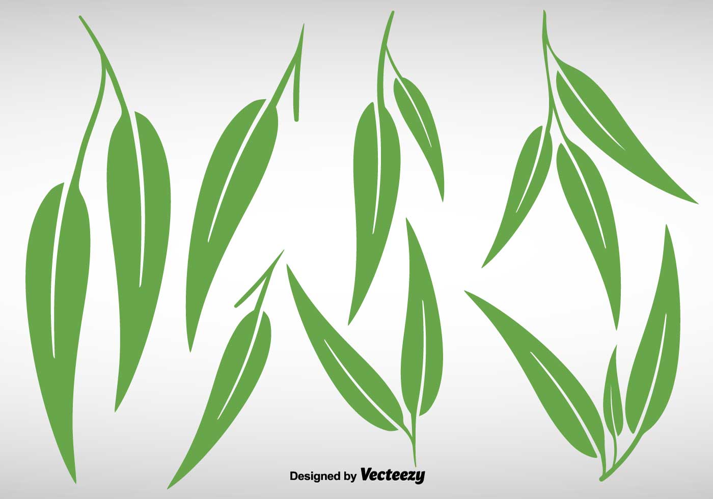 1400x980 Collection Of Eucalyptus Leaves