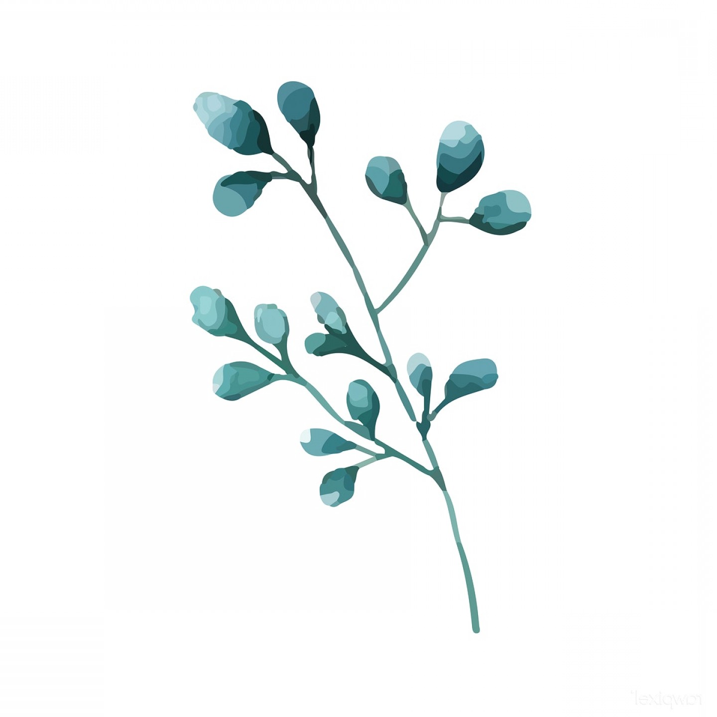 1440x1440 Silver Dollar Eucalyptus Leaves Painted Watercolor Vector Newwaysys