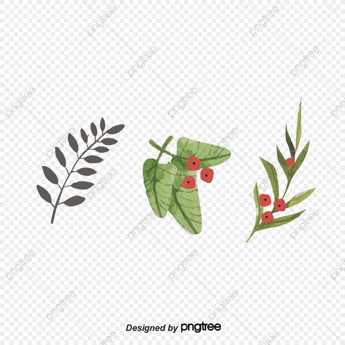 1200x1200 Vector Eucalyptus Leaves Doing Cutout, Eucalyptus, Leaves, Vector