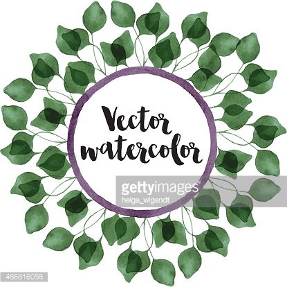 415x414 Vector Watercolor Green Eucalyptus Leaves And Branches Circle