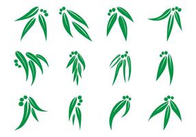 286x200 Eucalyptus Pattern