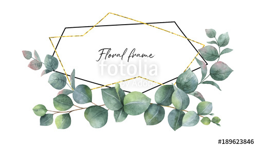500x286 Watercolor Vector Composition From The Branches Of Eucalyptus