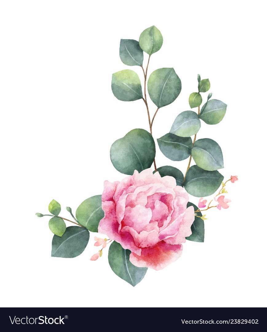 869x1080 Watercolor Wreath With Green Eucalyptus Royalty Free Vector