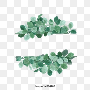 360x360 Eucalyptus Border Png Images Vector And Free