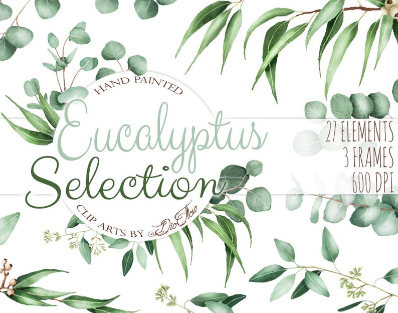 794x624 Watercolor Eucalyptus Clipart Greenery Clip Art Eucalyptus Etsy