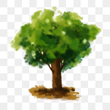 360x360 Watercolor Eucalyptus Png, Vector, And Clipart