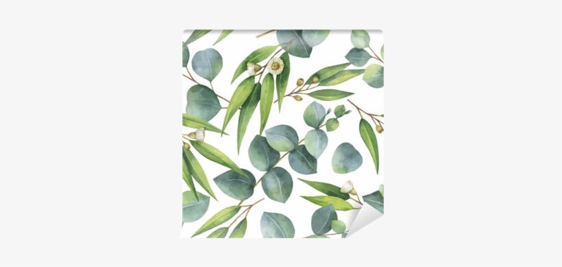 820x389 Watercolor Vector Seamless Pattern With Eucalyptus