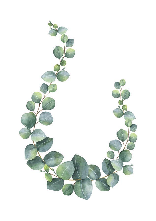 635x900 Watercolor Vector Wreath With Green Eucalyptus Leaves And Branches
