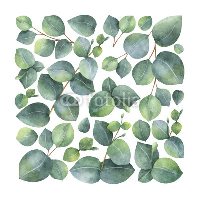 400x400 Watercolor Vector Card With Green Eucalyptus Leaves And Branches