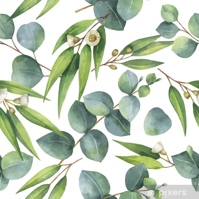 700x700 Watercolor Vector Seamless Pattern With Eucalyptus Leaves