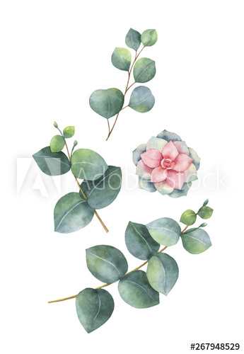 345x500 Watercolor Vector Wreath With Eucalyptus Leaves And Succulents