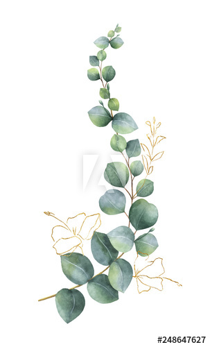 303x500 Watercolor Vector Wreath With Green Eucalyptus Leaves And Gold