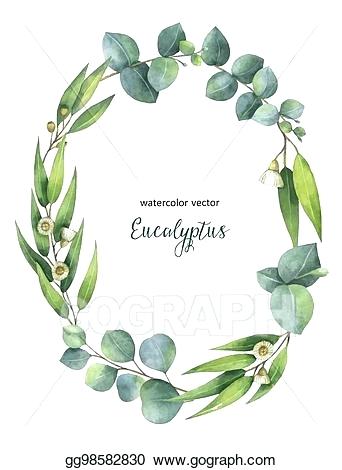 342x470 Eucalyptus Green Spapushin