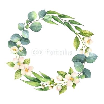 400x400 Vector Jasmine Flowers