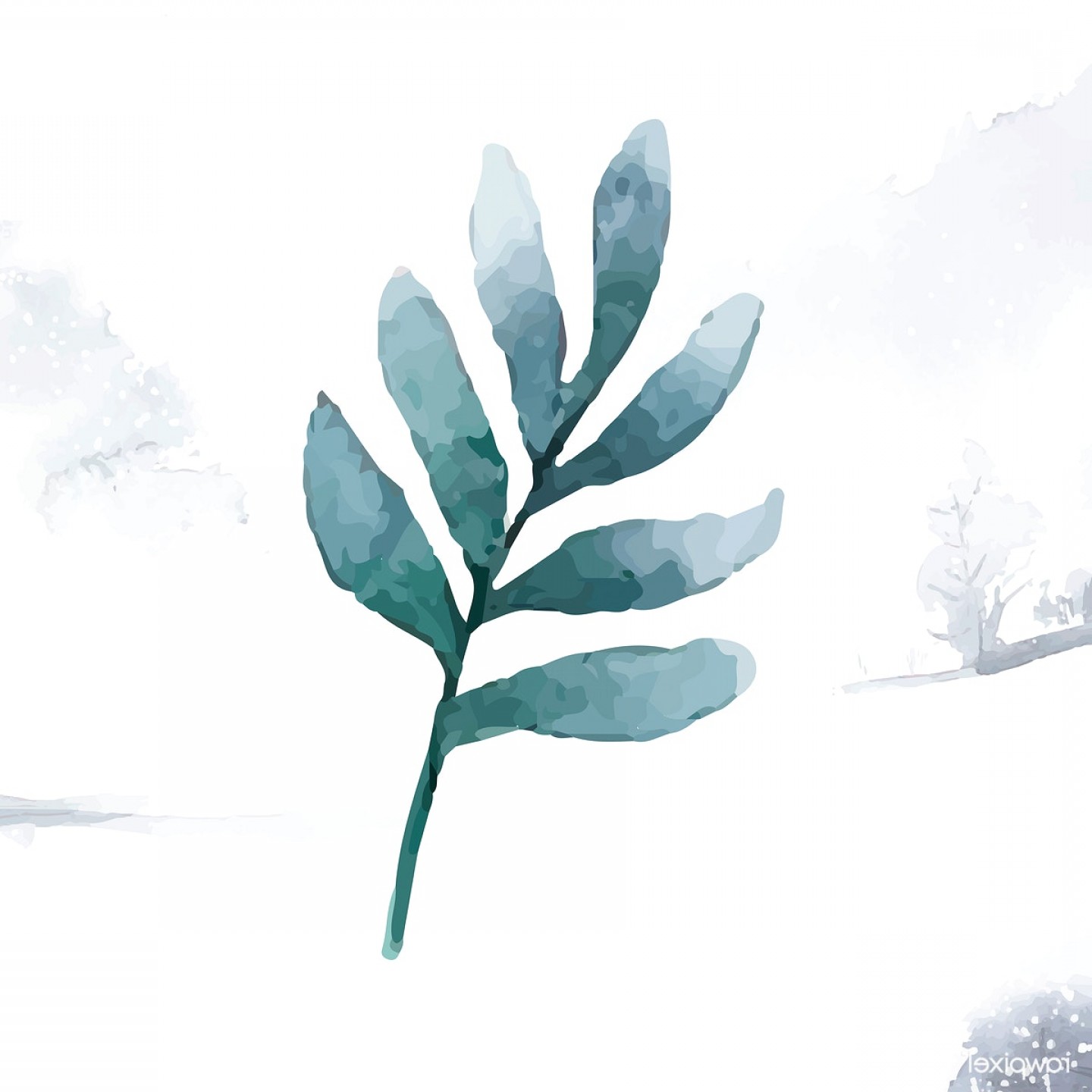 1440x1440 Seeded Eucalyptus Branch Painted Watercolor Vector Catchsplace