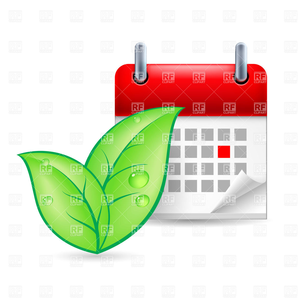 Cartoon Leaves And Calendar With Marked Day 1200x1200 Cartoon Leaves And Calendar With Marked Day