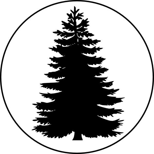 600x600 Hd Pix For Evergreen Tree Outline