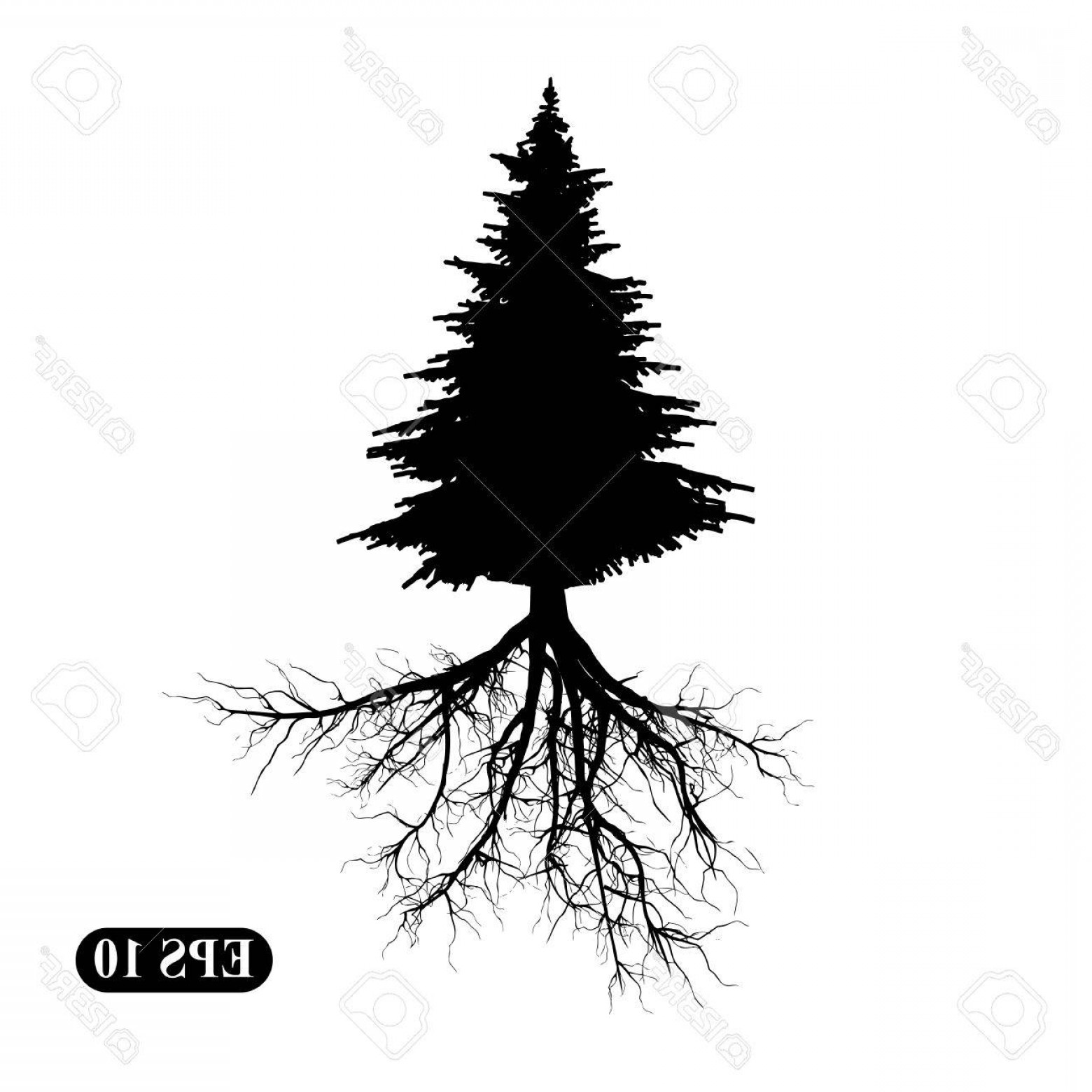 1560x1560 Photostock Vector Silhouette Of A Tree With Roots Cqrecords