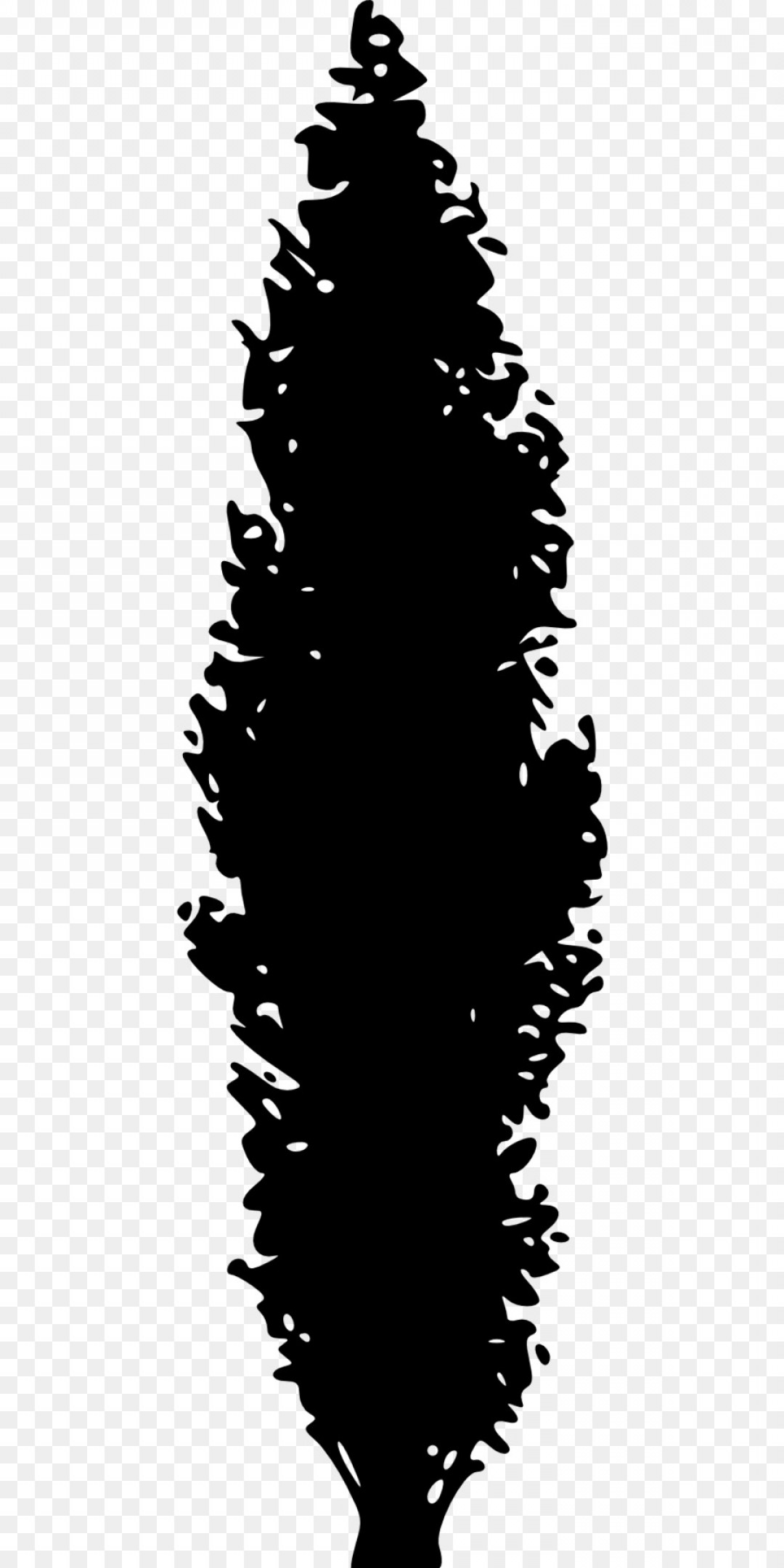 1080x2160 Cliparts For Free Download Evergreen Clipart Coniferous Tree