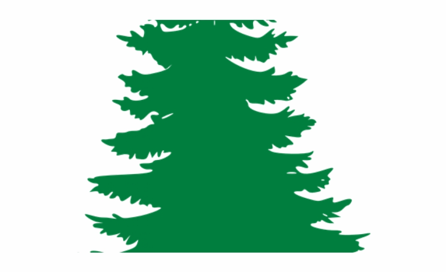 920x561 Pine Tree Png Vector