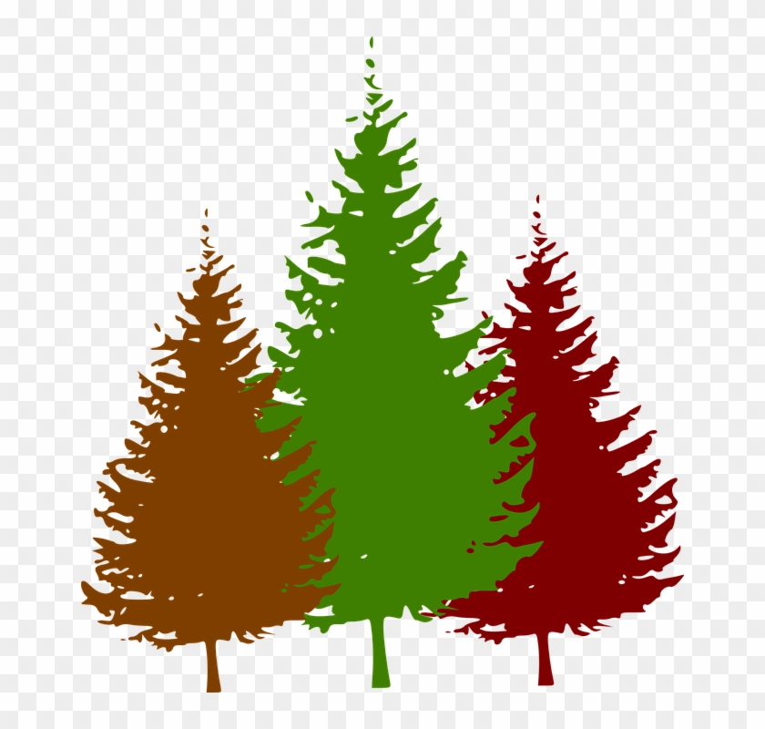 840x800 Pine Tree Silhouette Vector