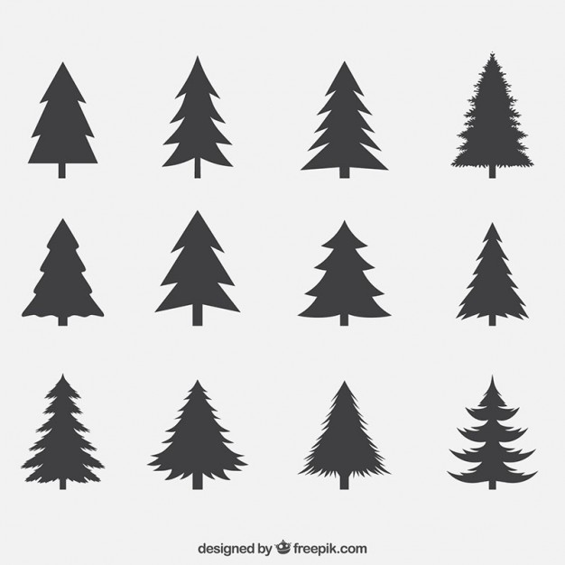 626x626 Pine Vectors, Photos And Free Download