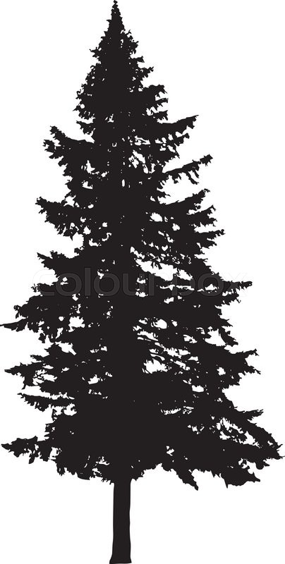 404x800 Pine Tree Silhouette Isolated On White Stock Vector Colourbox