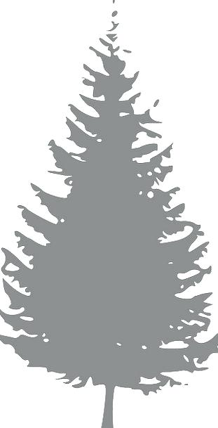 Evergreen Tree Silhouette Vector at Vectorified.com | Collection of ...