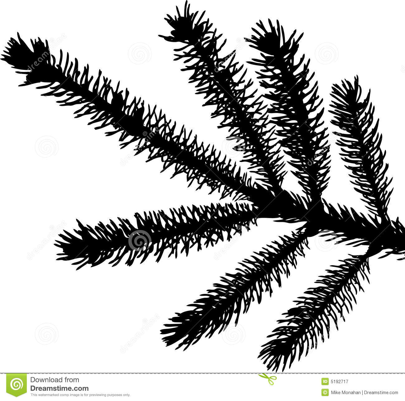 1300x1285 Evergreen Tree Silhouette Vector