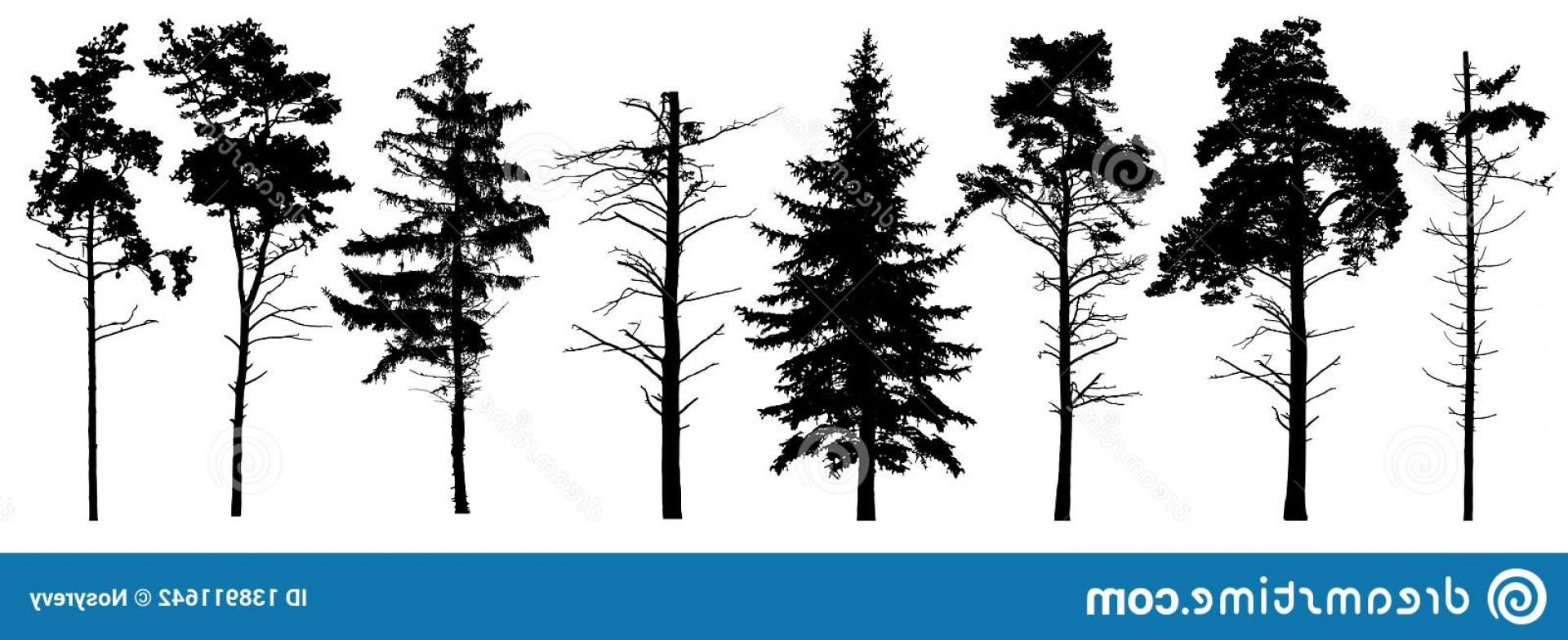 Evergreen Tree Vector at Vectorified.com | Collection of Evergreen Tree ...