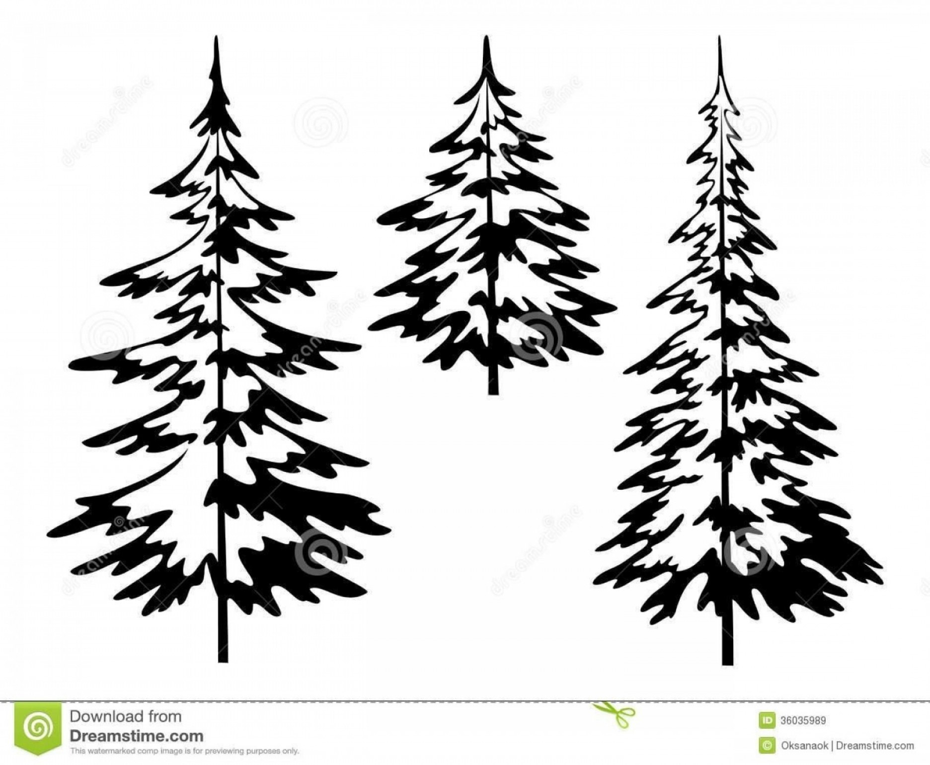 1872x1540 Luxury Evergreen Tree Outline Lavishly Icon Free Download Png