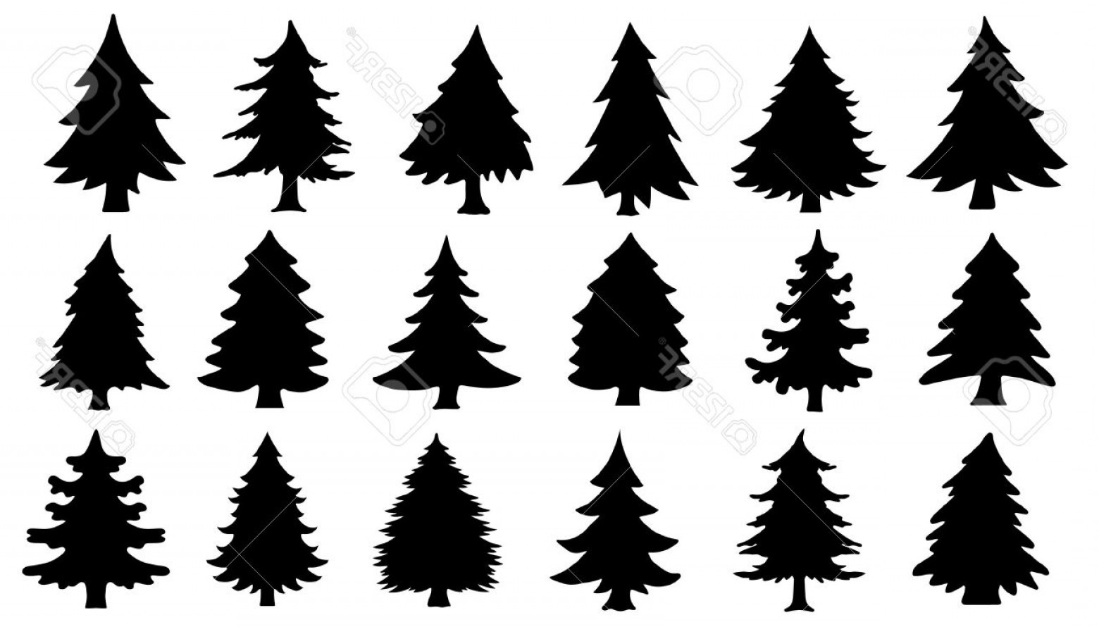 Evergreen Tree Vector at Vectorified.com  Collection of Evergreen Tree Vector free for personal use