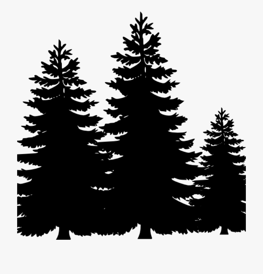 920x960 Pine Tree Clip Art Pine Trees Clip Art At Clker Vector