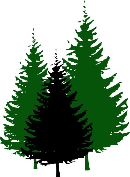438x599 Evergreen Tree Clipart