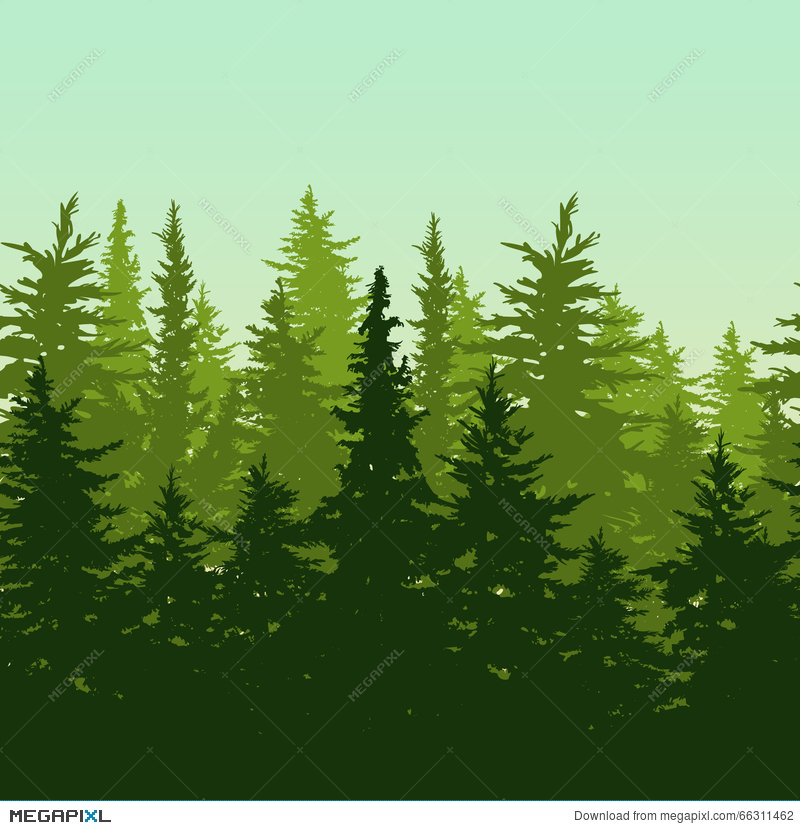 Evergreen Tree Vector at Collection of Evergreen Tree