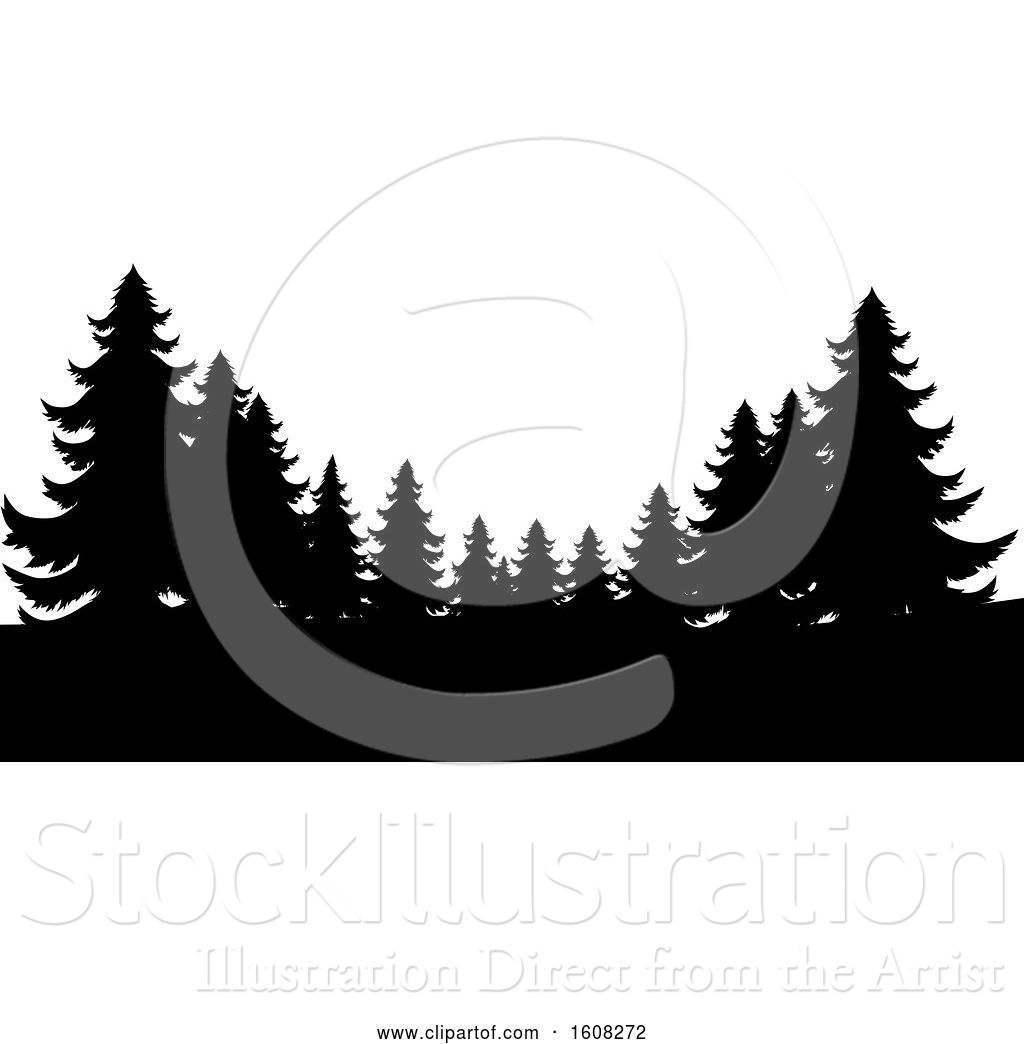 1024x1044 Vector Illustration Of Silhouetted Evergreen Trees