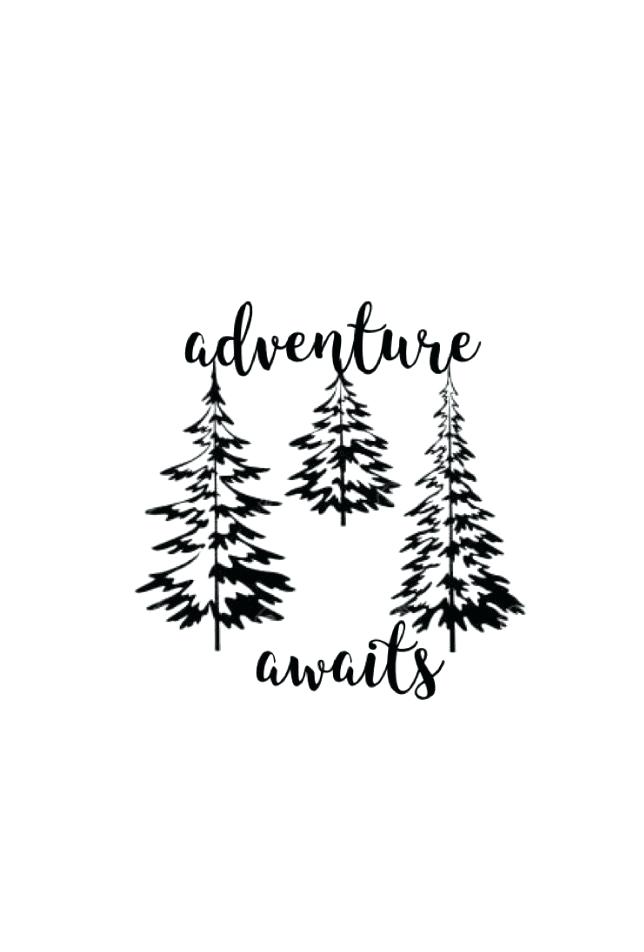 644x952 Evergreen Tree Outline