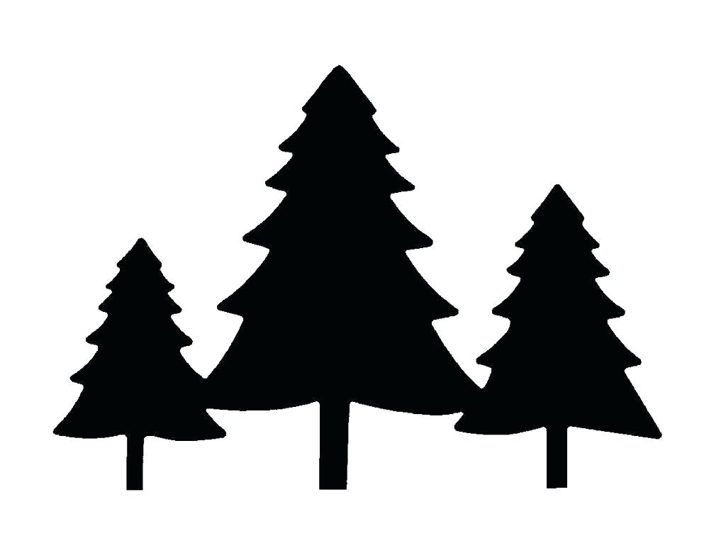 1000x773 Evergreen Tree Outline