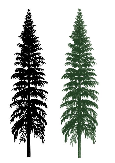 468x667 Sillhouette And Realistic Tree Tattoo Time Free Vector