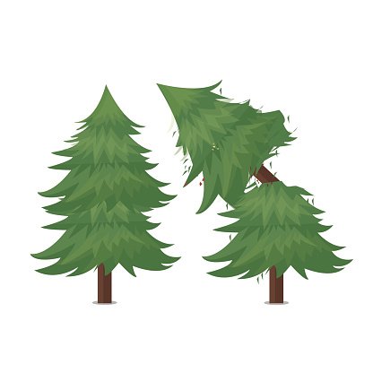 416x416 Broken Pine Tree Vector Illustration Stock Vectors