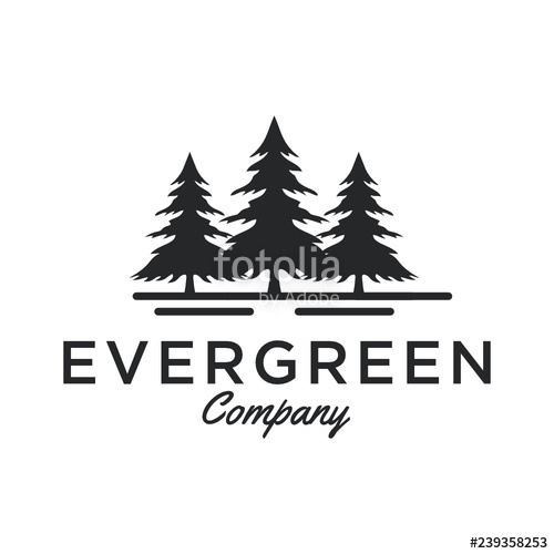 500x500 Evergreen Pine Tree Logo Design Inspiration