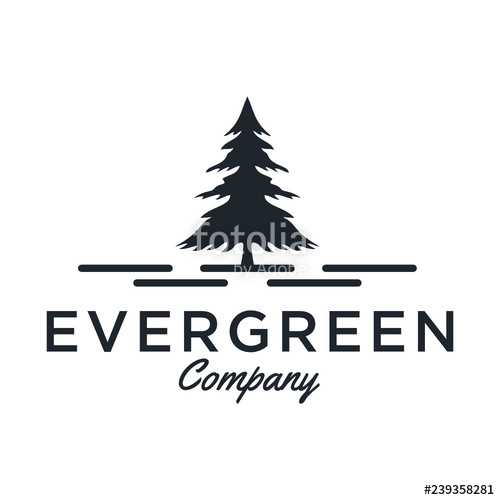 500x500 Evergreen Pine Tree Logo Design Inspiration