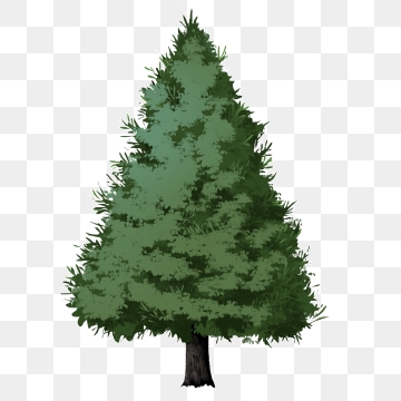 360x360 Evergreen Tree Png Images Vector And Free Download