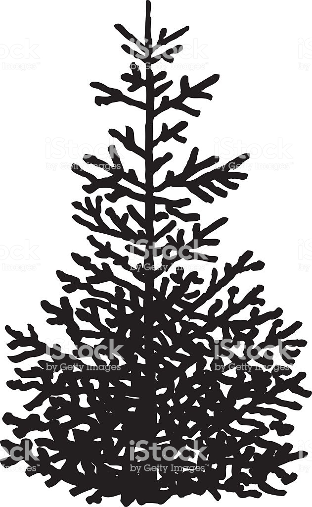 631x1024 Evergreen Tree Silhouette Vector