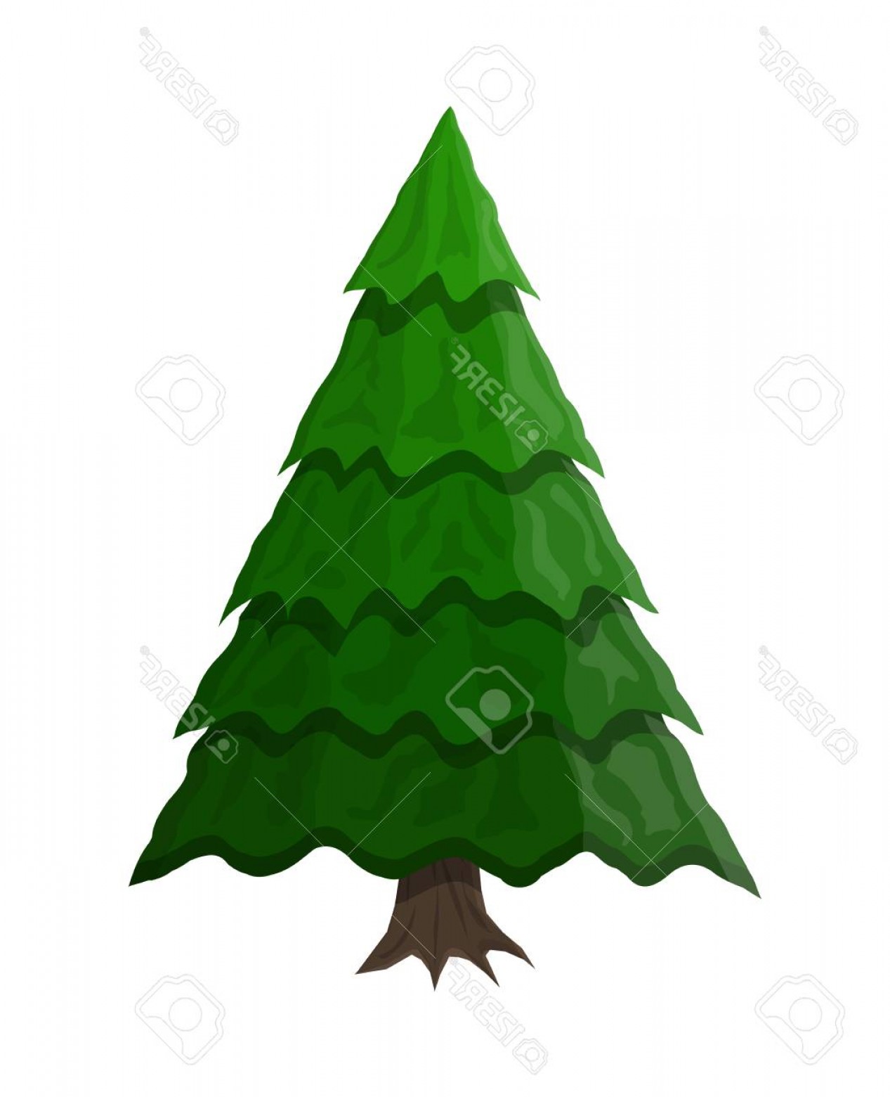 Evergreen Vector at Collection of Evergreen Vector