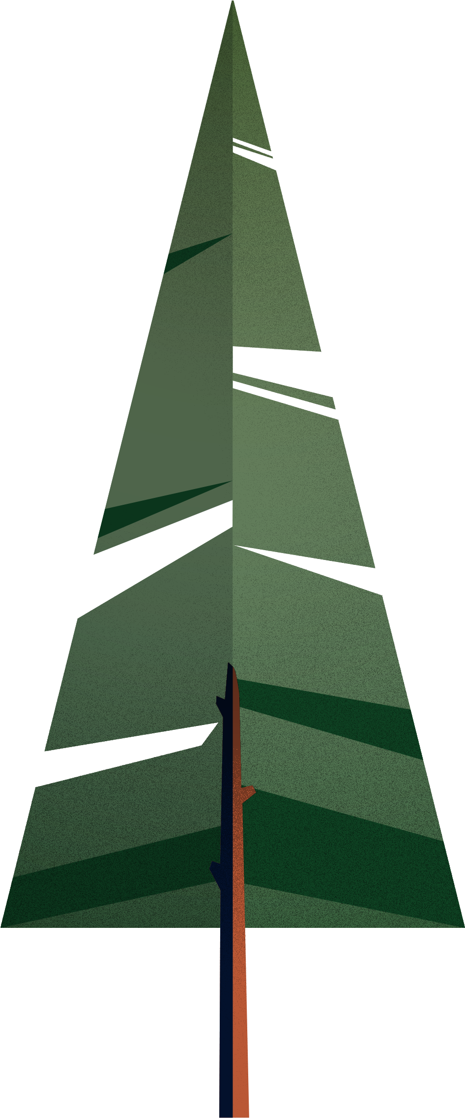 946x2270 Flat Vector Evergreen