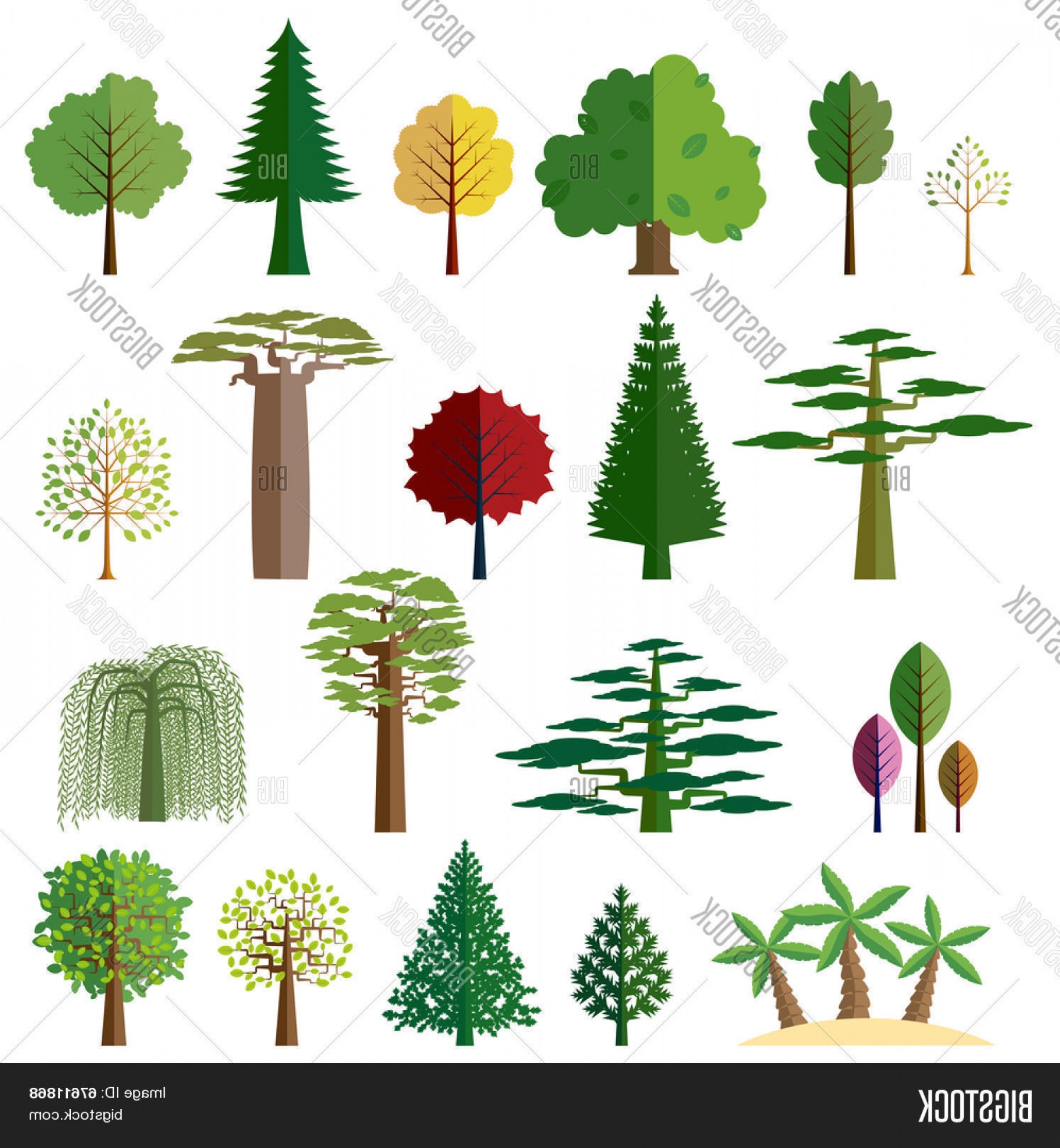1796x1944 Stock Vector Various Types Of Deciduous And Evergreen Trees Set